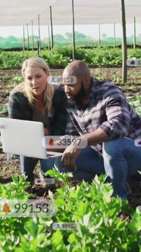 Analyzing data on laptop, farmers in greenhouse managing vegetable crops animation