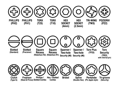 Screw Head Types Chart Flat Vector Illustration with Technical Labels