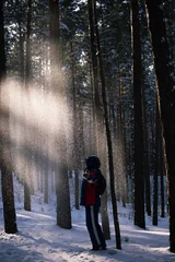 Child throwing snow in winter pine forest with magical sun flares through trees © Elena