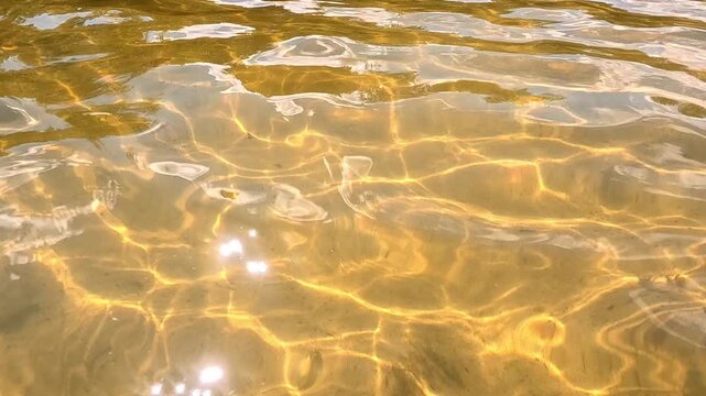 A golden sandy seabed lies beneath a calm rippling water surface, sunlight rays scatter across the sand while the camera slowly moves forward over the shallow warm seafloor.