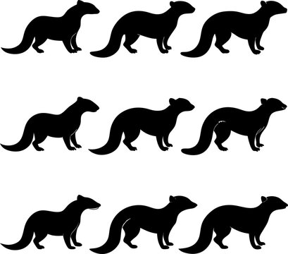 Collection of black silhouettes of weasels or ferrets in various standing positions isolated on a plain white background set