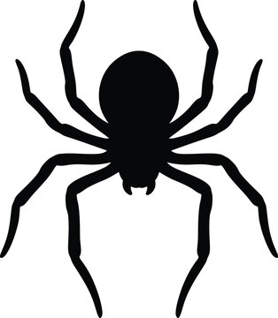 Spider silhouette vector. Creepy spider vector icon