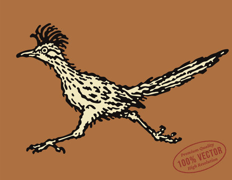 Retro vector illustration of a running roadrunner bird
