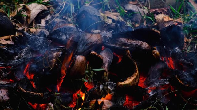 Closeup burning coconut husks in fire with flames, hot ambers, and smoke on tropical island in Fiji, South Pacific