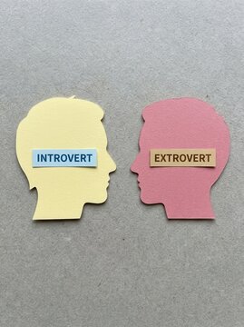 Introvert and Extrovert Personality Types Concept with Paper Cutout Human Head Profiles on Grey Background
