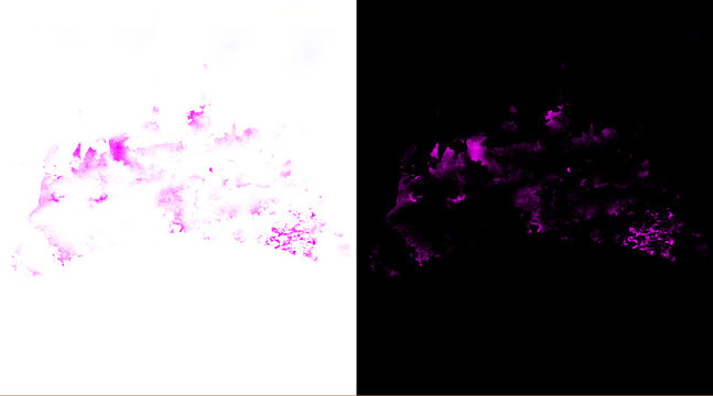 Purple smoke splash on white and black background, vibrant magenta ink cloud textures, abstract watercolor paint splatter for design