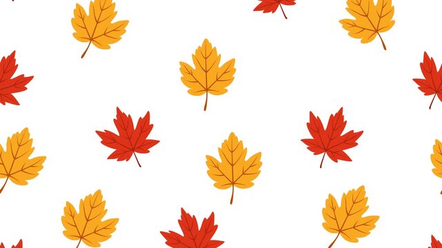Red and yellow maple leaves scrolling downward seamlessly as an animated motion background