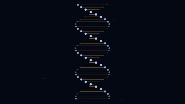 3D Animation of a Rotating DNA Double Helix