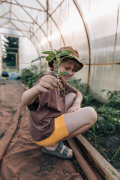 Young boy holding a fresh plant seedling in a greenhouse