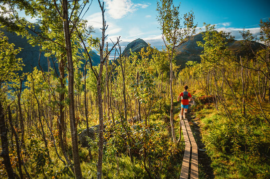 Man trail running on a boardwalk in a sunny forest
