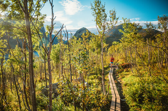 Man trail running on a wooden path in a forest