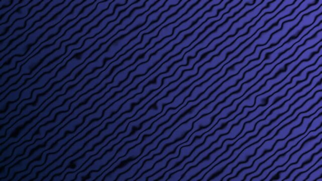 Abstract wavy lines pattern flows with rich blue and purple tones. Elegant fluid gradients illuminate this wavy lines pattern. Modern ambient motion fills the wavy lines pattern.
