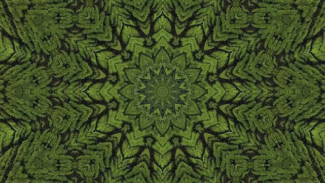 Abstract green plant landscape with circular kaleidoscope effect.