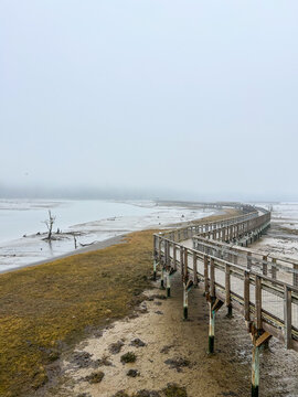 Foggy Day at Billy Frank Jr. Nisqually National Wildlife Refuge