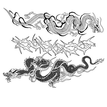 vector illustration of a dragon decorative ornament