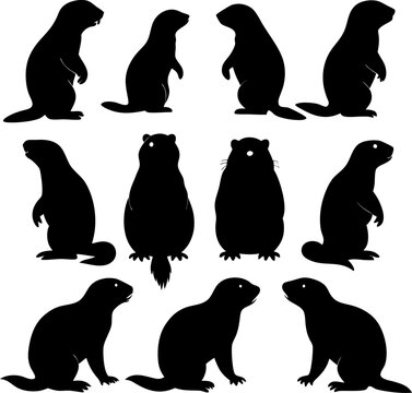 A collection of eleven black silhouette of ground squirrels or gophers in various poses on a white background
