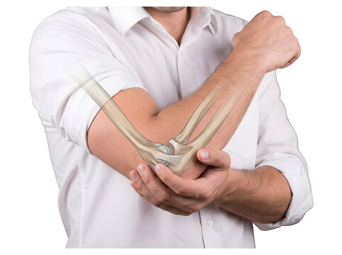 Man holding elbow joint showing arm bone and ligament anatomy illustration