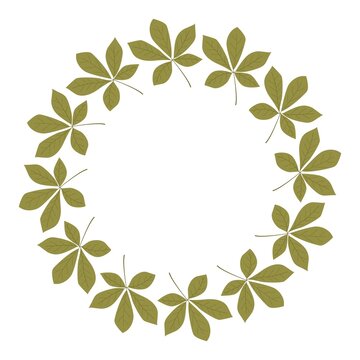 Circular wreath of green horse chestnut leaves arranged symmetrically on a white background. Elegant botanical illustration perfect for seasonal decoration