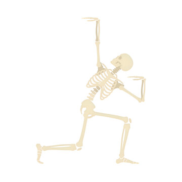 Dynamic Human Skeleton Dancing Illustration on Black Background