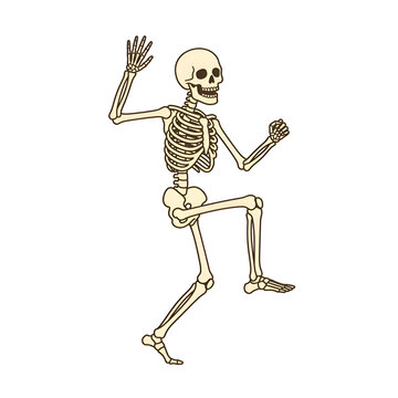 Funny Dancing Human Skeleton Illustration on Black Background