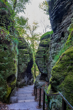 A stone staircase descends a narrow ravine in Saxon Switzerland
