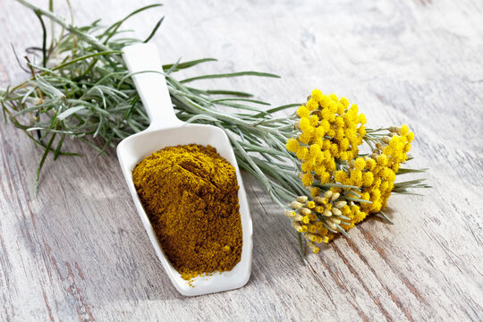 Curry plant (Helichrysum italicum) and shovel with curry powder