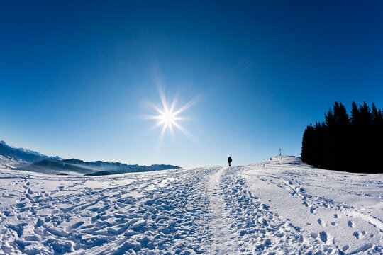 Germany, Bavaria, Blomberg, Woman hiking on top of Zwiesel mountain