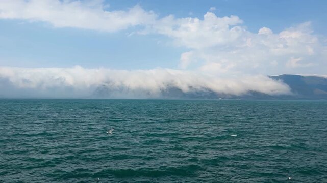 Seagull Flies over Wavy Ocean near Misty Coastal Mountains during Daytime with Fluffy Clouds. High angle shot of dramatic sea and cloudscape