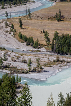 Argut and Koksu rivers confluence, Samakha steppe landscape, Altai Republic