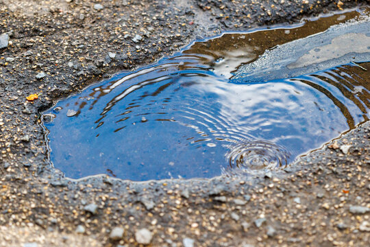 Rainwater pools in cracked asphalt