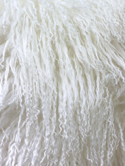 Soft, curly white fibers cascade in a luxurious, textured display © schankz