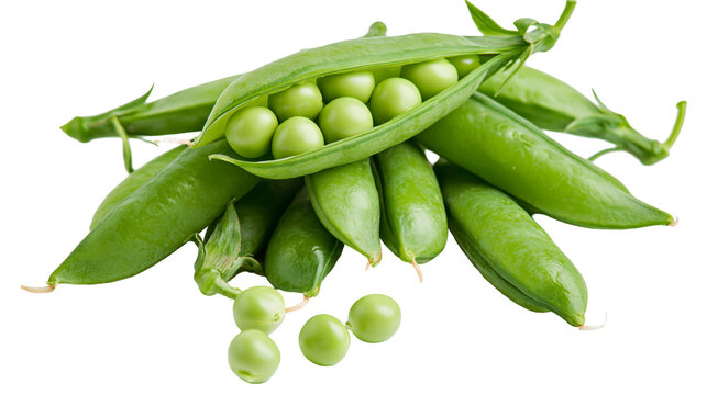 Fresh green pea pods with open shell revealing round organic peas