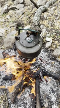 Peaceful Forest Camping: Boiling Tea on an Open Fire
