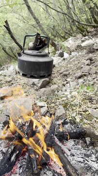 Relaxing Mountain Campfire with Traditional Tea Brewing on a Tree Branch