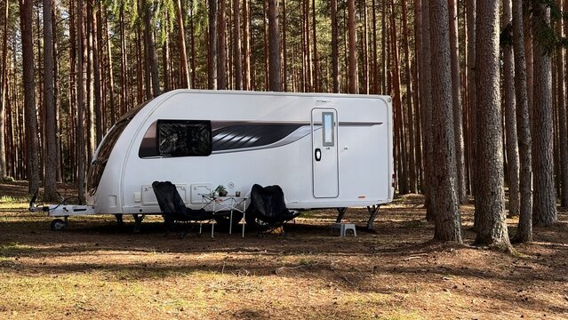 Modern travel trailer caravan parked amidst towering pine trees with cozy outdoor seating space