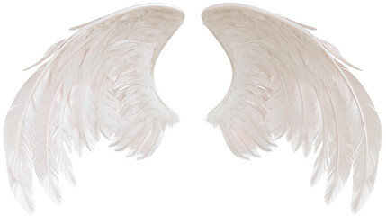 Pair of soft white feathered angel wings spread wide © Elvin