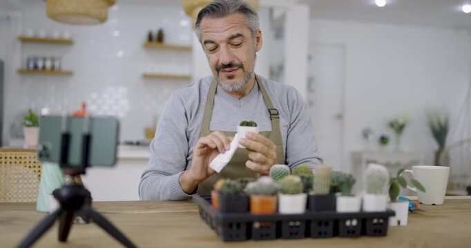 senior caucasian man working gardening cactus succulent