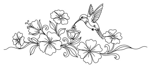 Obraz premium Hummingbird Hovering Near Flowers Continuous Line Art Drawing, Minimalist Nature Floral Garden Vector for Logo Design and Spring Decoration