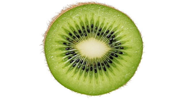 Fresh vibrant green kiwi fruit slice with black seeds and fuzzy brown skin