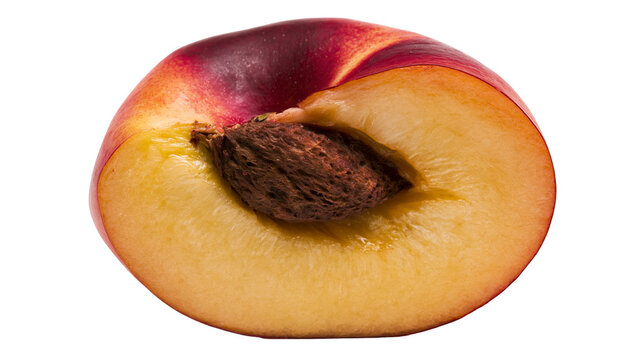 Ripe juicy nectarine half with visible brown textured stone pit