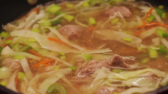 Homemade vegetable soup with beef broth and pieces of beef. High quality 4k footage