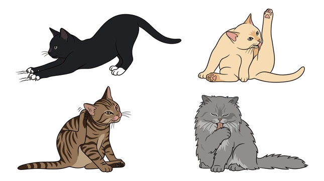 Set of four cats in various poses, including a black stretching cat, a cream cat grooming, a tabby cat scratching, and a fluffy grey cat licking its paw, with transparent background