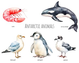 Obraz premium Antarctic Animals Watercolor Elements Set