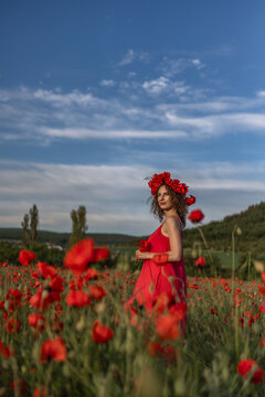 Smiling adult woman in red dress standing amidst Papaver rhoeas wildflowers under a clear blue summer sky