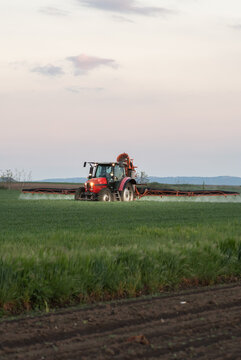 Tractor spraying wheat field with sprayer, herbicides and pesticides