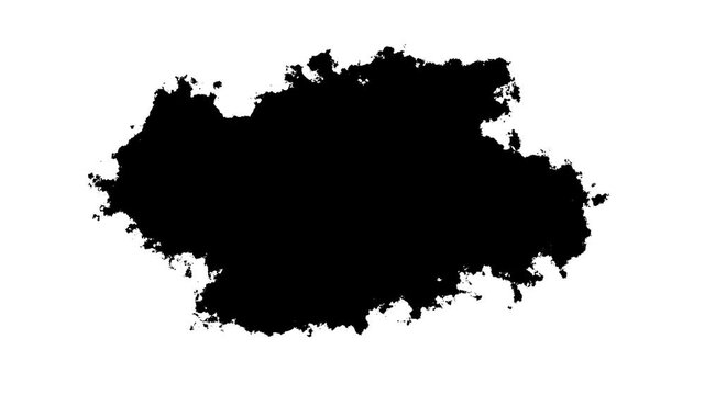 Ink drops transition on black background, white ink falling and spreading, beautiful liquid swirls, paint splash reveal, abstract ink stain animation, professional 4k video animation footage