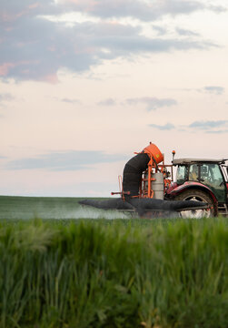 Tractor spraying wheat field with sprayer, herbicides and pesticides