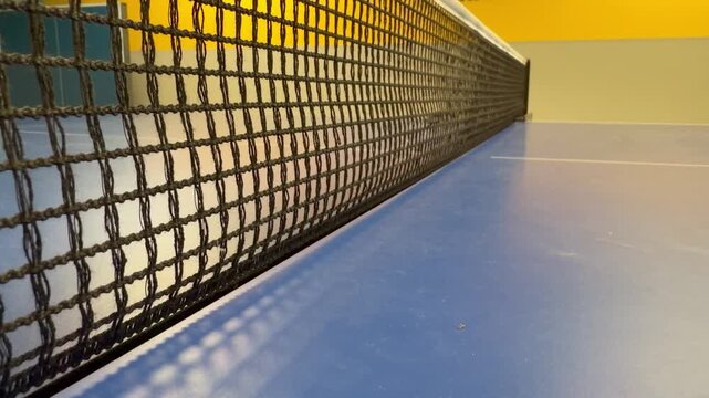 Table tennis and ping pong net