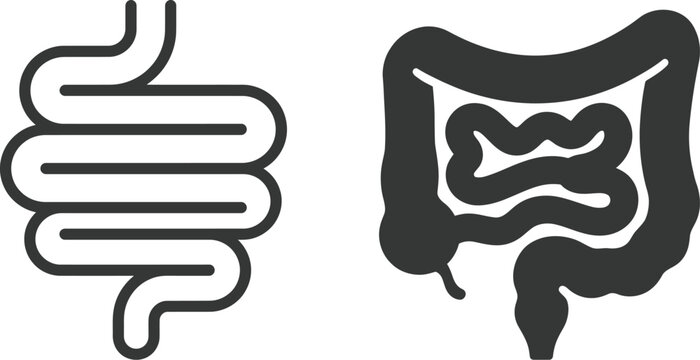Intestine icons representing the human digestive system and gut health are set on a white background.