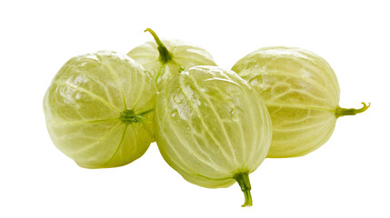 Fresh ripe green gooseberries with translucent skin and visible veins © Lena